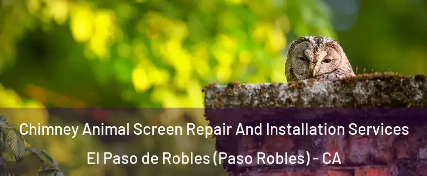  Chimney Animal Screen Repair And Installation Services El Paso de Robles (Paso Robles) - CA