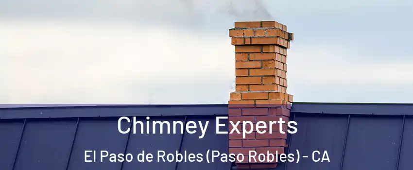 Chimney Experts El Paso de Robles (Paso Robles) - CA