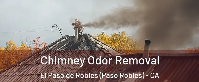  Chimney Odor Removal El Paso de Robles (Paso Robles) - CA