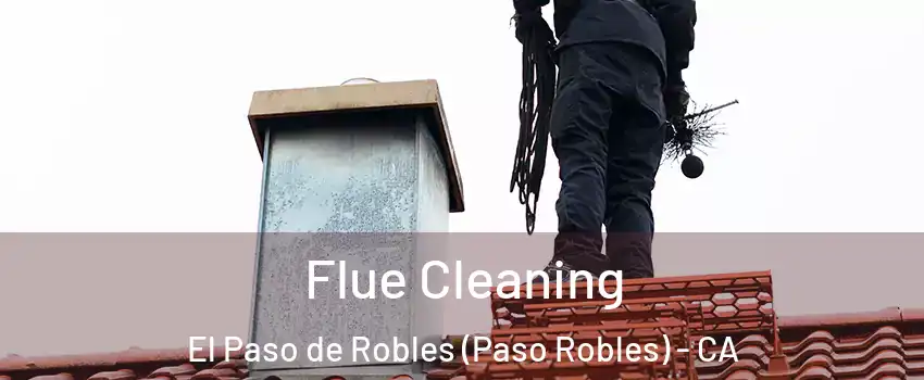  Flue Cleaning El Paso de Robles (Paso Robles) - CA