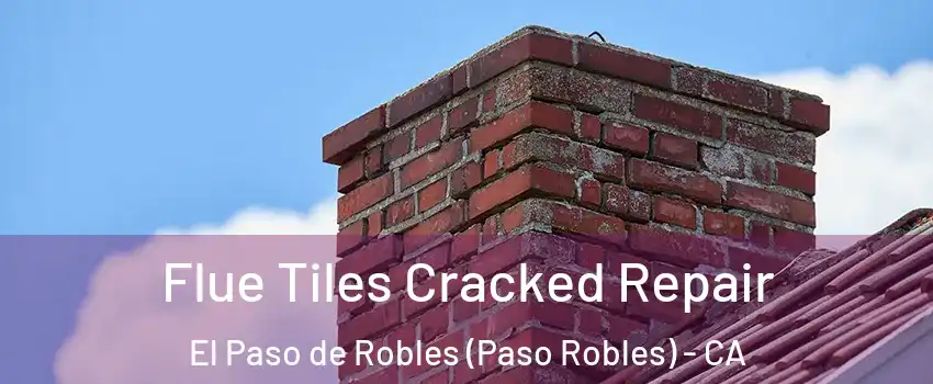  Flue Tiles Cracked Repair El Paso de Robles (Paso Robles) - CA