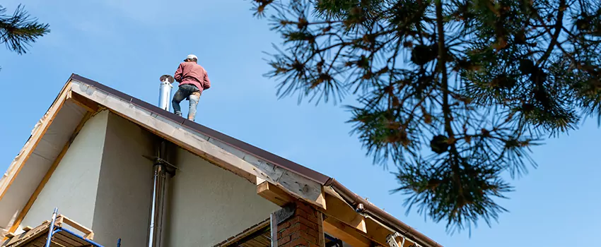 Birds Removal Contractors from Chimney in El Paso de Robles (Paso Robles), CA