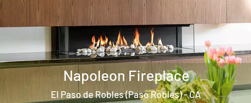  Napoleon Fireplace El Paso de Robles (Paso Robles) - CA